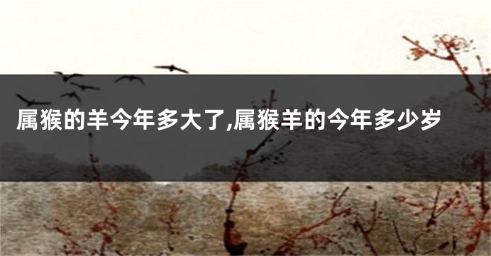 属猴的羊今年多大了,属猴羊的今年多少岁
