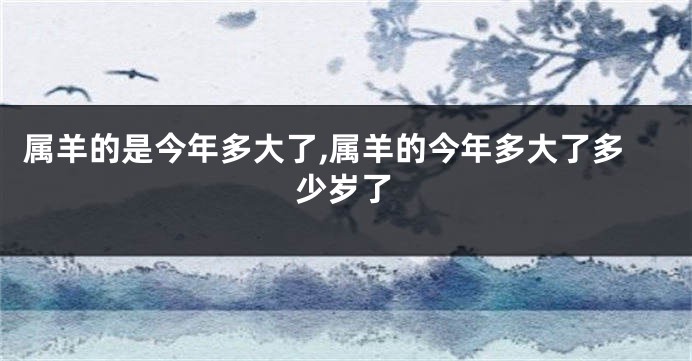 属羊的是今年多大了,属羊的今年多大了多少岁了