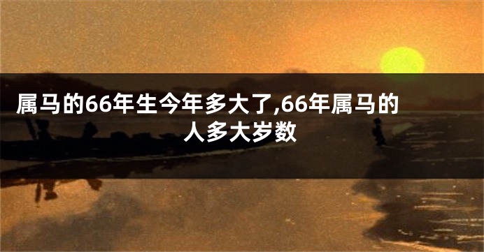 属马的66年生今年多大了,66年属马的人多大岁数