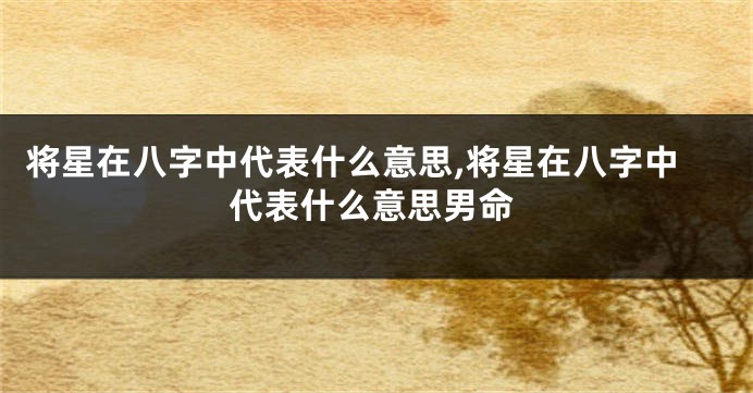 将星在八字中代表什么意思,将星在八字中代表什么意思男命