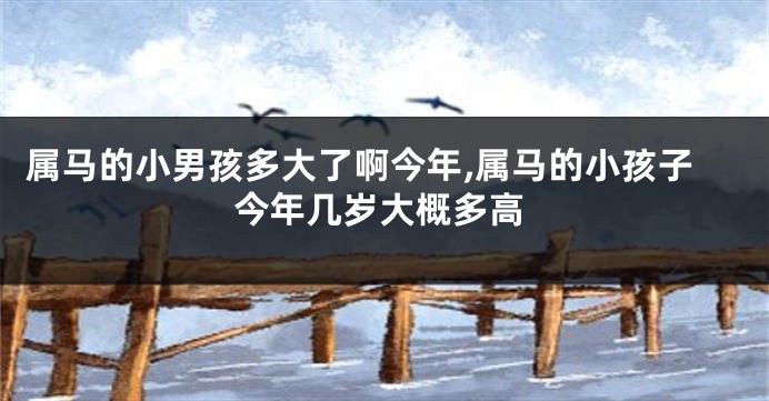 属马的小男孩多大了啊今年,属马的小孩子今年几岁大概多高