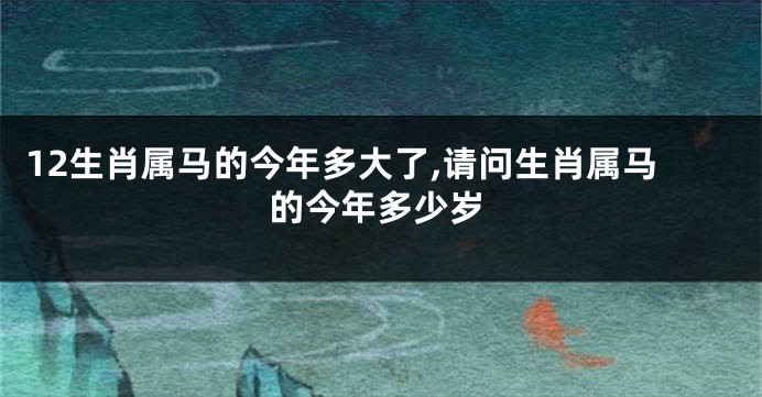 12生肖属马的今年多大了,请问生肖属马的今年多少岁
