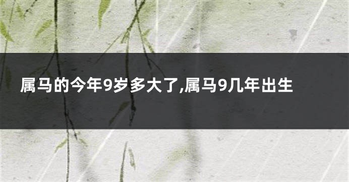 属马的今年9岁多大了,属马9几年出生