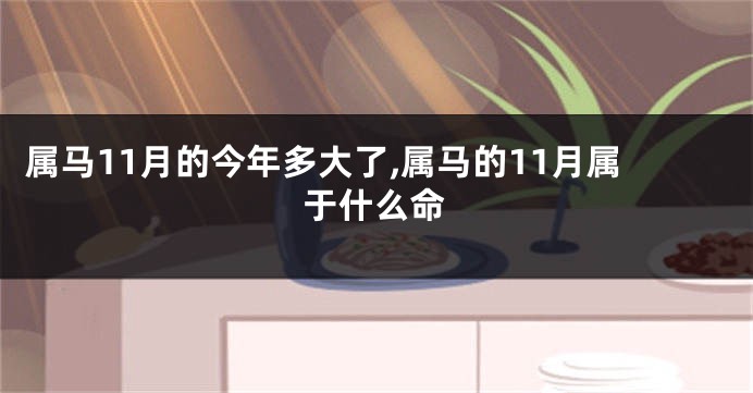 属马11月的今年多大了,属马的11月属于什么命