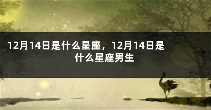 12月14日是什么星座，12月14日是什么星座男生