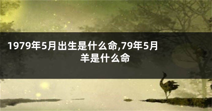 1979年5月出生是什么命,79年5月羊是什么命