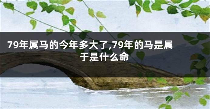 79年属马的今年多大了,79年的马是属于是什么命