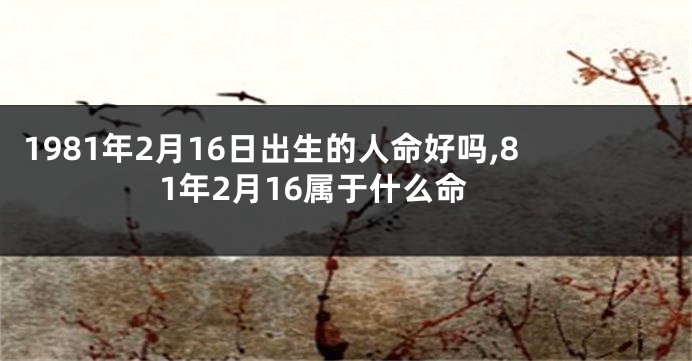 1981年2月16日出生的人命好吗,81年2月16属于什么命