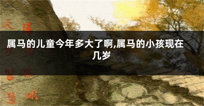 属马的儿童今年多大了啊,属马的小孩现在几岁