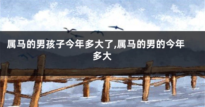 属马的男孩子今年多大了,属马的男的今年多大