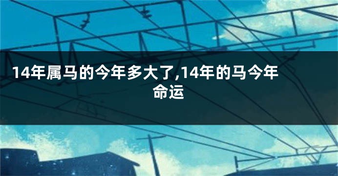 14年属马的今年多大了,14年的马今年命运