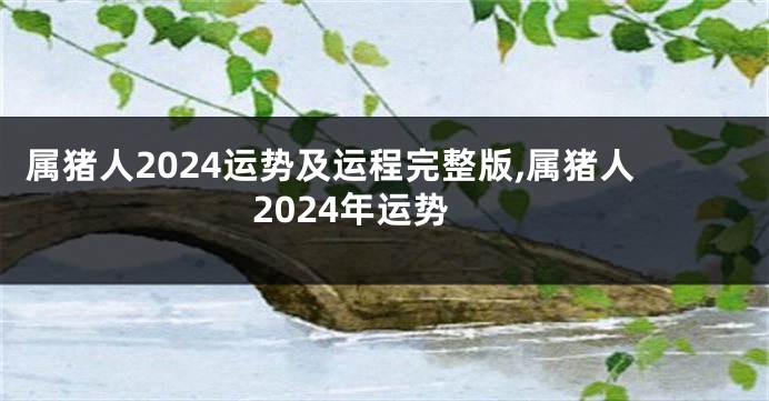 属猪人2024运势及运程完整版,属猪人2024年运势