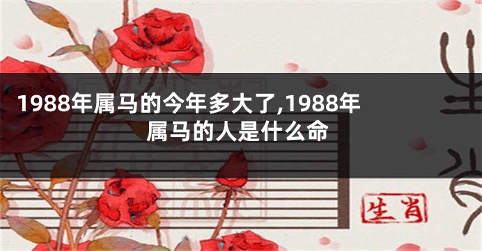 1988年属马的今年多大了,1988年属马的人是什么命