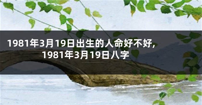 1981年3月19日出生的人命好不好,1981年3月19日八字
