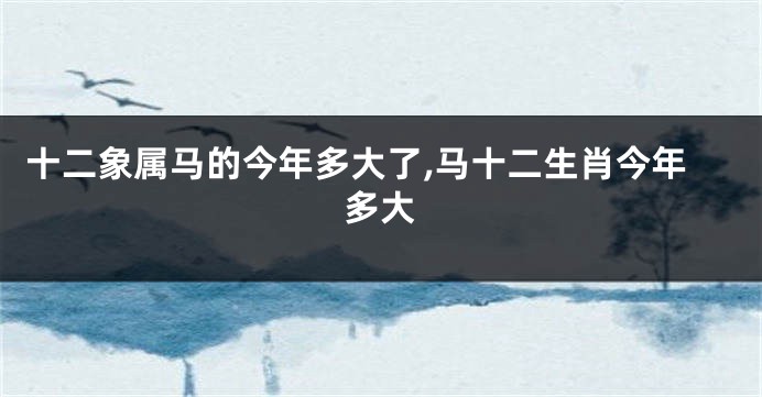 十二象属马的今年多大了,马十二生肖今年多大