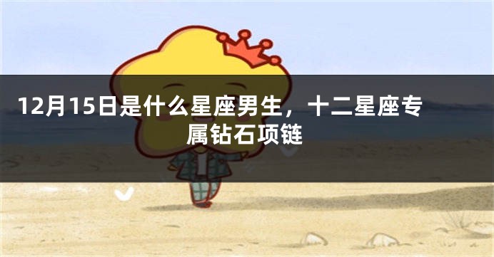 12月15日是什么星座男生，十二星座专属钻石项链