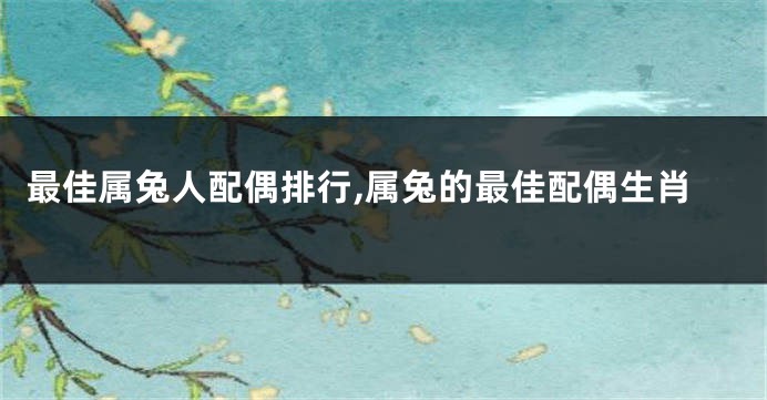 最佳属兔人配偶排行,属兔的最佳配偶生肖