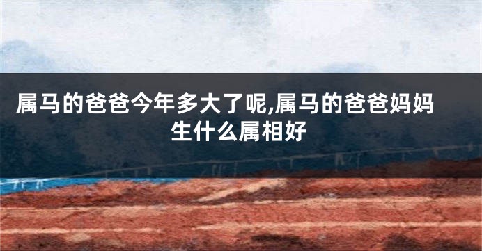 属马的爸爸今年多大了呢,属马的爸爸妈妈生什么属相好