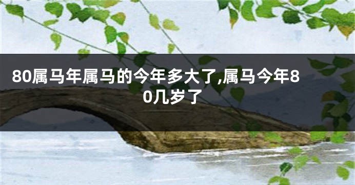 80属马年属马的今年多大了,属马今年80几岁了