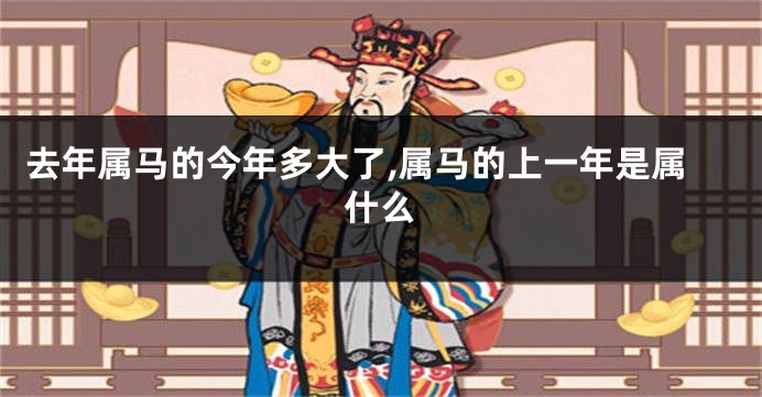 去年属马的今年多大了,属马的上一年是属什么