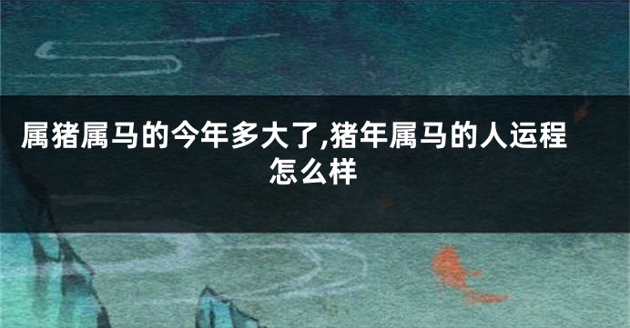 属猪属马的今年多大了,猪年属马的人运程怎么样