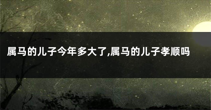 属马的儿子今年多大了,属马的儿子孝顺吗