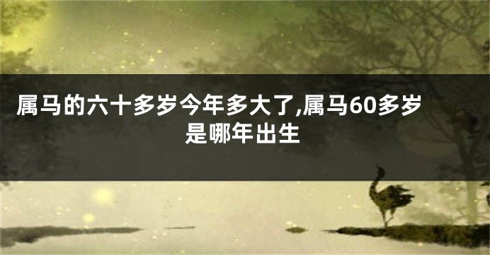 属马的六十多岁今年多大了,属马60多岁是哪年出生