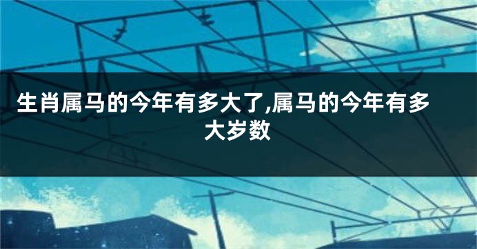生肖属马的今年有多大了,属马的今年有多大岁数