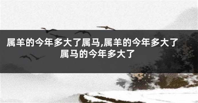 属羊的今年多大了属马,属羊的今年多大了属马的今年多大了