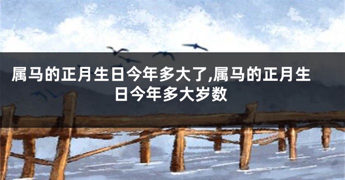 属马的正月生日今年多大了,属马的正月生日今年多大岁数