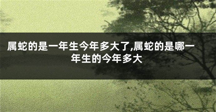 属蛇的是一年生今年多大了,属蛇的是哪一年生的今年多大