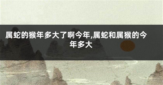 属蛇的猴年多大了啊今年,属蛇和属猴的今年多大