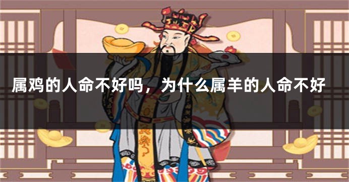 属鸡的人命不好吗，为什么属羊的人命不好