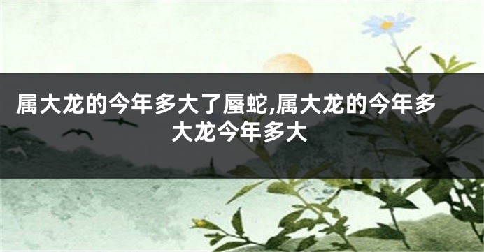属大龙的今年多大了蜃蛇,属大龙的今年多大龙今年多大