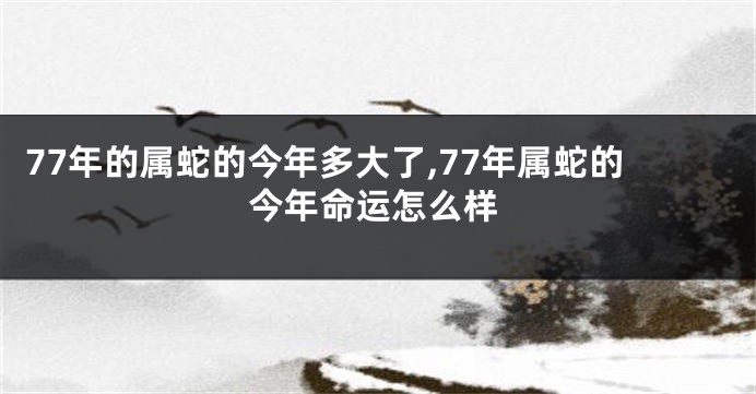 77年的属蛇的今年多大了,77年属蛇的今年命运怎么样