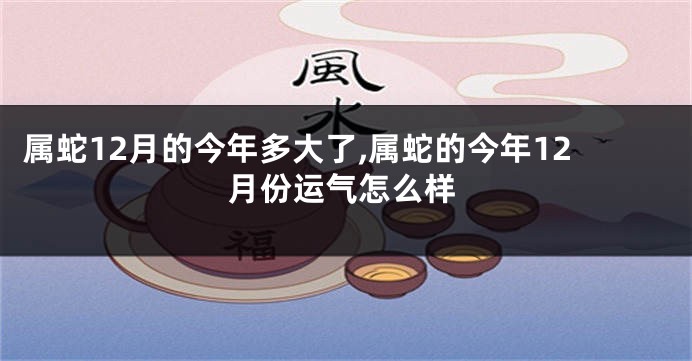 属蛇12月的今年多大了,属蛇的今年12月份运气怎么样
