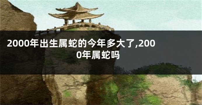 2000年出生属蛇的今年多大了,2000年属蛇吗
