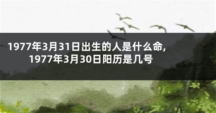 1977年3月31日出生的人是什么命,1977年3月30日阳历是几号