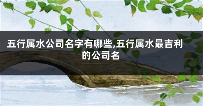 五行属水公司名字有哪些,五行属水最吉利的公司名