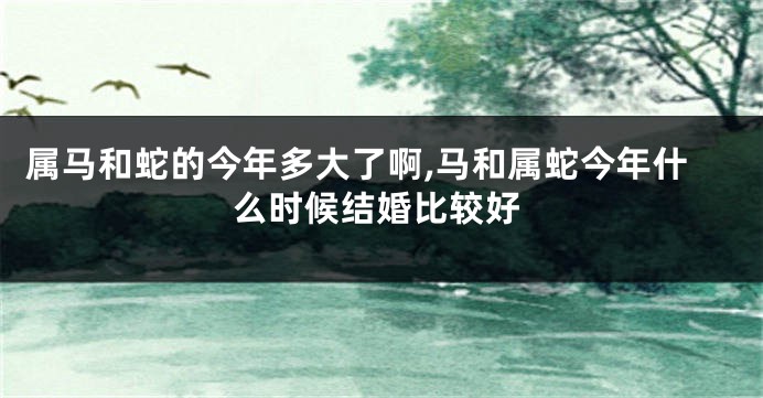属马和蛇的今年多大了啊,马和属蛇今年什么时候结婚比较好