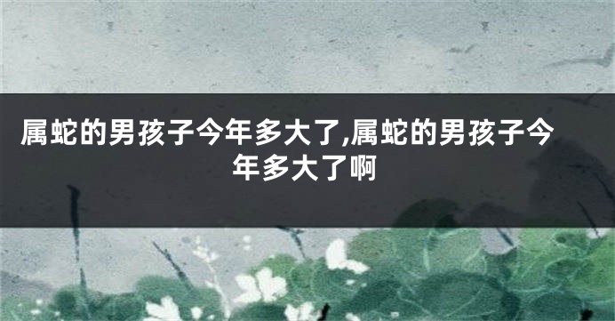 属蛇的男孩子今年多大了,属蛇的男孩子今年多大了啊