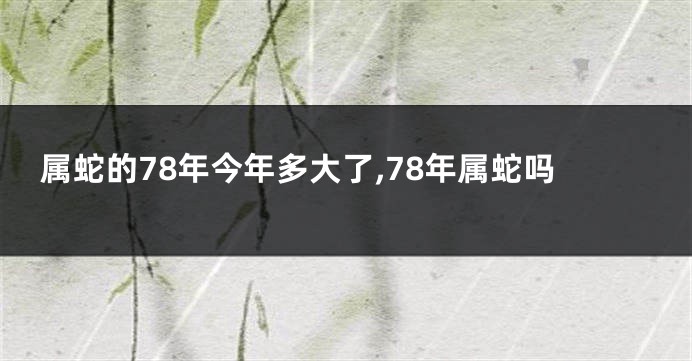 属蛇的78年今年多大了,78年属蛇吗