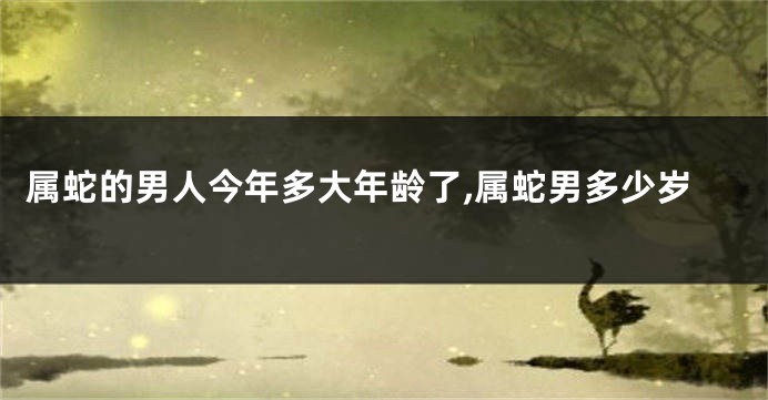 属蛇的男人今年多大年龄了,属蛇男多少岁