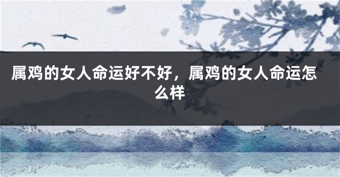 属鸡的女人命运好不好，属鸡的女人命运怎么样