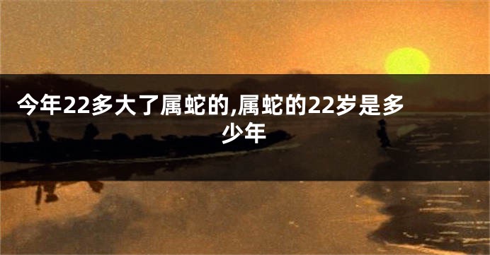 今年22多大了属蛇的,属蛇的22岁是多少年