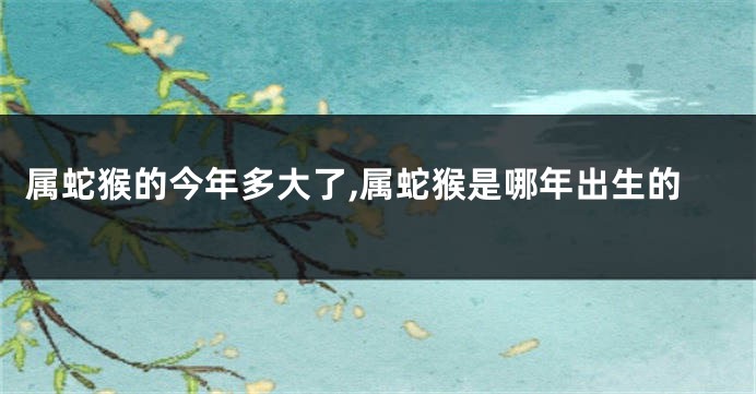 属蛇猴的今年多大了,属蛇猴是哪年出生的