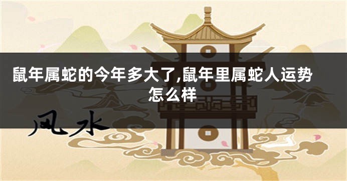 鼠年属蛇的今年多大了,鼠年里属蛇人运势怎么样