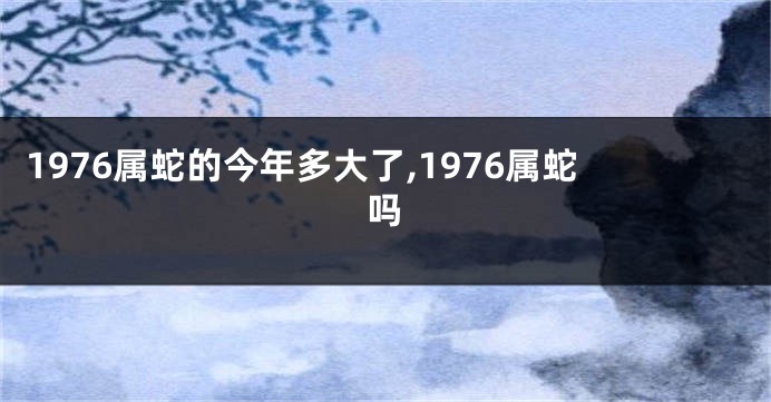 1976属蛇的今年多大了,1976属蛇吗