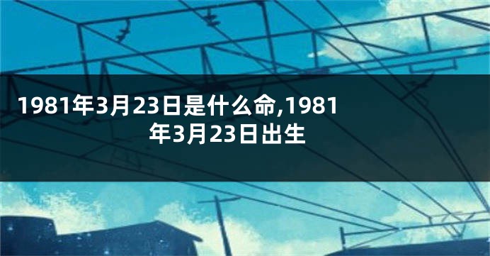 1981年3月23日是什么命,1981年3月23日出生