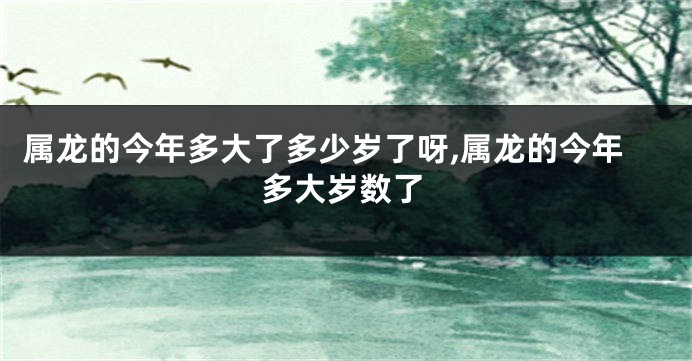 属龙的今年多大了多少岁了呀,属龙的今年多大岁数了